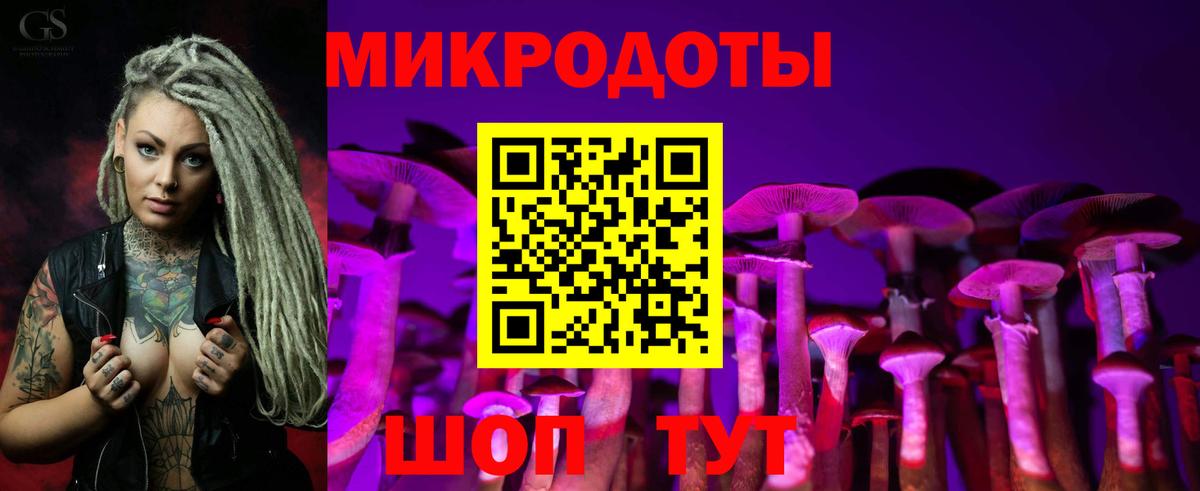 Псилоцибиновые грибы Psilocybine cubensis  Вход с VPN  Великий Устюг 