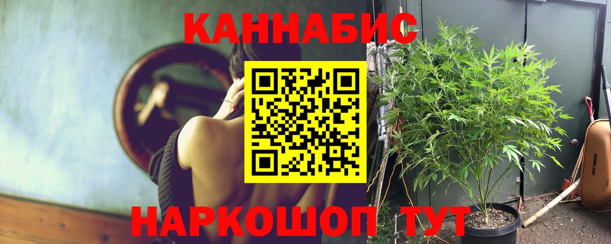 Марихуана тримм  Конопля MAZAR  Вход с VPN  Бошки марихуана ГИДРОПОН  Великий Устюг  Конопля White Widow 